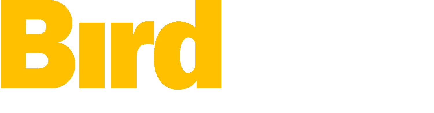 BirdEye Advertising & Marketing